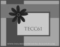 TECC61(sketch)
