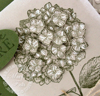 Stampin up pals paper arts hydrangea