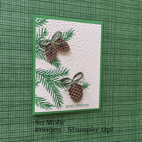 pals-paper-crafting-card-ideas-su-mohr-mary-fish-stampin-pretty-stampinup
