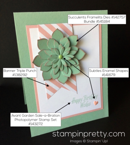 Stampin Up Oh So Succulent Birthday cards ideas - Mary Fish stampinup
