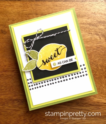 Stampin Up Lemon Zest Birthday Cards Ideas - Mary Fish StampinUp