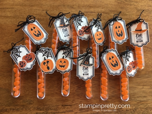 Stampin Up Patterned Pumpkins Halloween Treats Test Tubes Group - Mary Fish StampinUp
