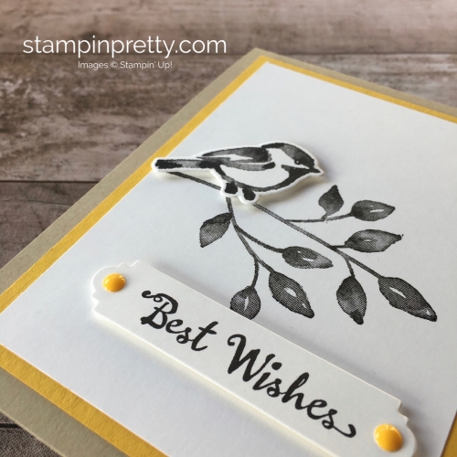 Create a simple birthday card with Stampin Up Petal Palette & Petals & More Framelits Dies - Mary Fish StampinUp Idea