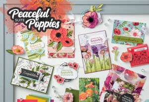 Peaceful Poppies Suite from Stampin' Up! 2020 Mini Catalog. Cards by Mary Fish, Stampin' Pretty Simple Saturday Card