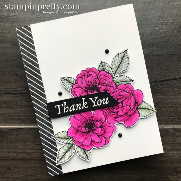 SNEAK PEEK! Stampin' Up! True Love & Happy Thoughts!