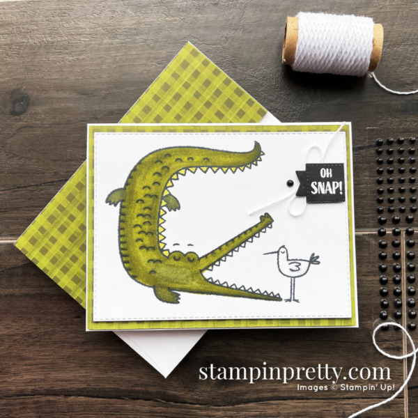 Oh Snap Stamp Set from Stampin' Up! Card by Mary Fish, Stampin' Pretty