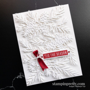 Create this card using the Christmas to Remember Bundle from the Painted Christmas Suite by Stampin