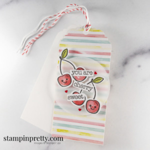 You are Cherry Sweet Gift Tag Lots of Pun December 2021 Paper Pumpkin Alternate Plus 1 Mary Fish, Stampin