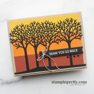Create this card using RETIRING Inspiring Canopy Dies 155963 Shop Online with Mary Fish, Stampin