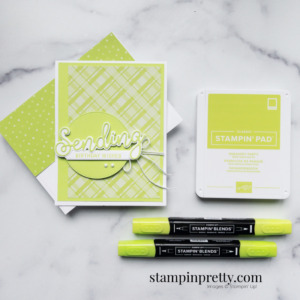 Create this card using the NEW In Color Parakeet Party by Stampin' Up! Sending Smiles Bundle Mary Fish Stampin' Pretty