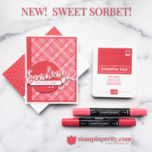 Create this card using the Sweet Sorbet In Color and Sending Smiles Bundle from Stampin