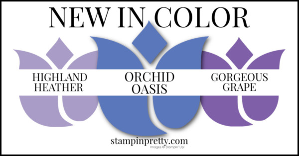 In Color Comparison - ORCHID OASIS
