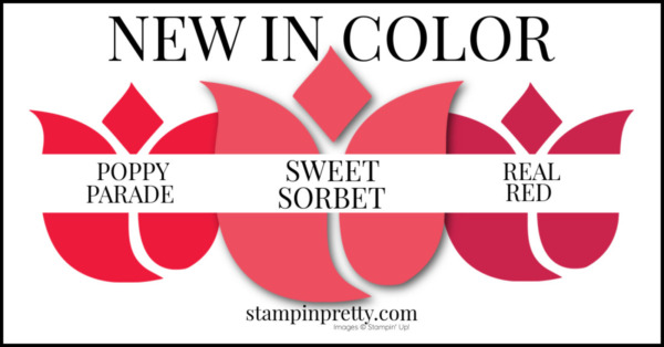 In Color Comparison - SWEET SORBET