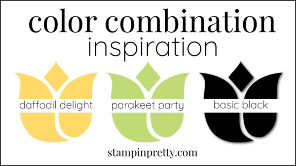 Color Combinations Parakeet Party, Daffodil Delight, Basic Black