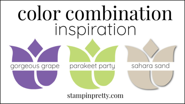 Color Combinations Parakeet Party, Gorgeous Grape, Sahara Sand