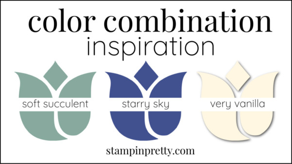 Color Combinations Starry Sky, Soft Succulent, Very Vanilla