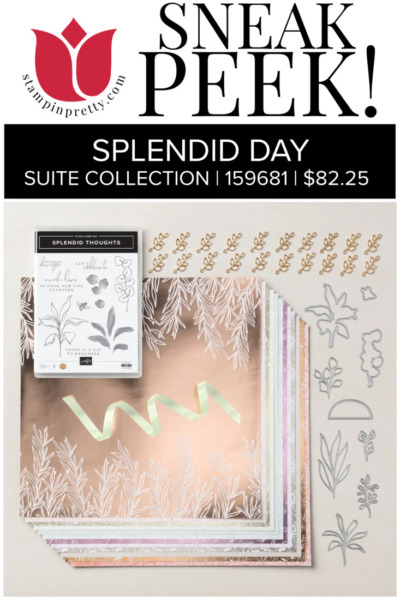 SPLENDID DAY SUITE COLLECTION - Mary Fish Stampin' Pretty - SNEAK PEEK Mini Catalog July - December 2022