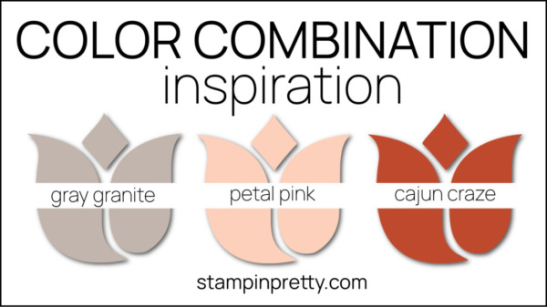 Color Combinations Modern Gray Granite, Petal Pink, Cajun Craze