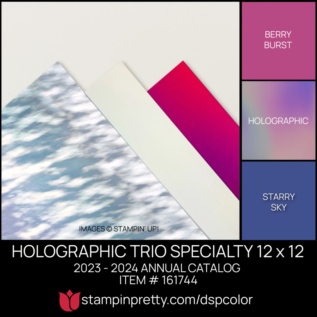 HOLOGRAPHIC TRIO SPECIALTY 12 x 12 Coordinating Colors 161744 Stampin' Pretty Mary Fish Shop Online 24-7 (1)