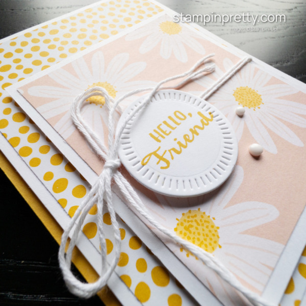 Create a Hello Friend Card with the Delightfully Eclectic Designer Series Paper and Hope You Know Stamp Set from Stampin' Up! Card by Mary Fish, Stampin' Pretty (2)
