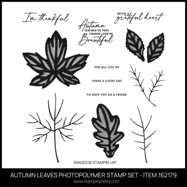 AUTUMN LEAVES PHOTOPOLYMER STAMP SET - ITEM 162179 - BUY ONLINE WITH MARY FISH STAMPIN PRETTY - EARN TULIP REWARDS
