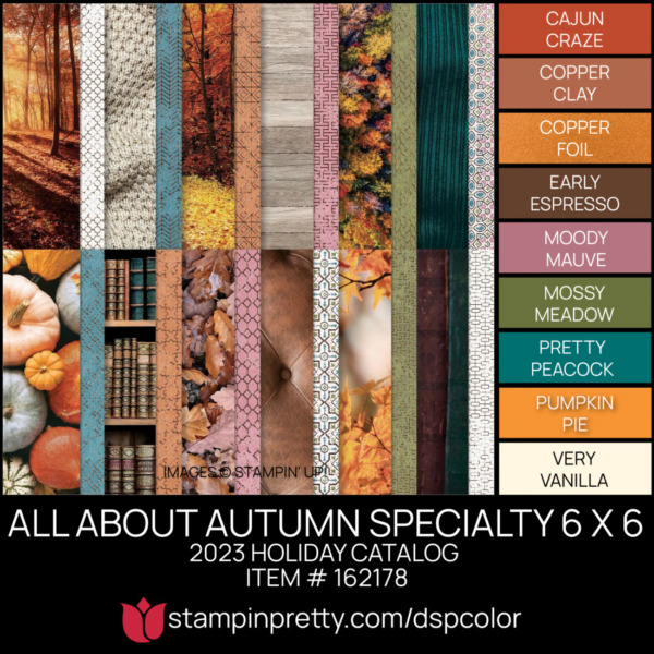 ALL ABOUT AUTUMN SPECIALTY 6 X 6 Designer Series Paper Coordinating Colors 162178 Stampin' Pretty Mary Fish Shop Online 24-7