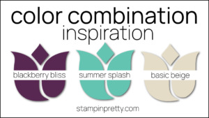 Stampin Pretty Color Combinations - Blackberry Bliss, Summer Splash, Basic Beige