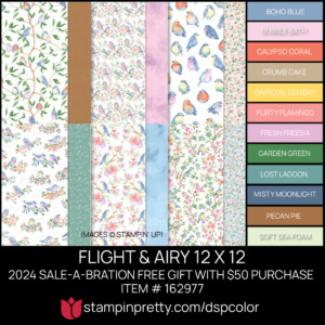 FLIGHT & AIRY 12 X 12 DSP Coordinating Colors 161640 Stampin' Pretty Mary Fish Shop Online 24-7 $50 PURCAHSE