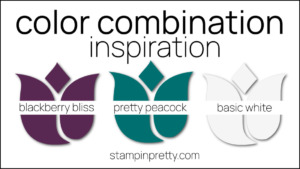 Stampin Pretty Color Combinations - blackberry bliss, pretty peacock, basic white