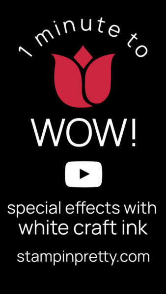 1 Minute to WOW! Video - Special Effects with White Craft Ink - Mary Fish, Stampin' Pretty