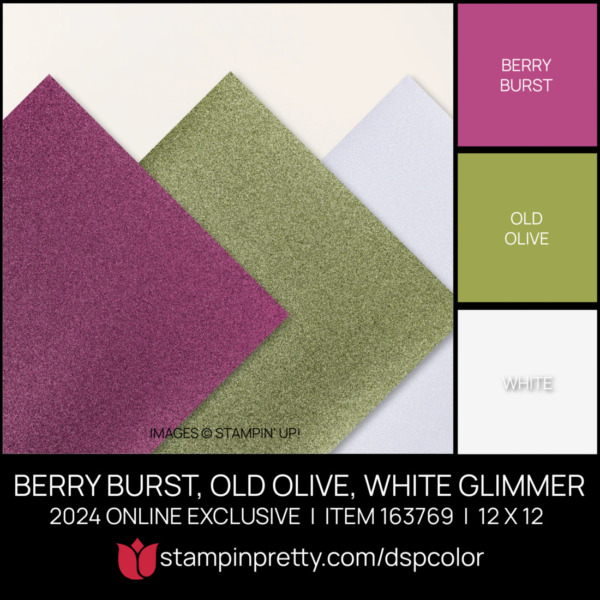 BERRY BURST, OLD OLIVE AND WHITE GLIMMER Coordinating Colors 163769 Stampin' Pretty Mary Fish Shop Online EARN TULIP REWARDS