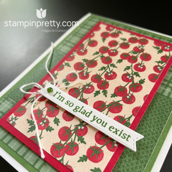 Create this fun card using the To Market Designer Series Paper from Stampin' Up! Card by Mary Fish, Stampin' Pretty (2)