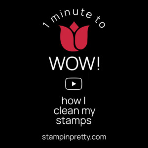 How I Clean My Stamps - My 1 Minute to WOW Video - Stampin' Pretty, Mary Fish