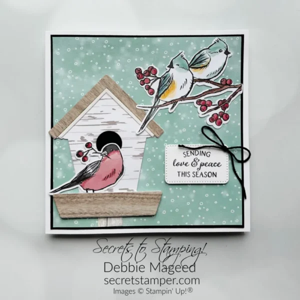 A Stampin' Pretty Pals Sunday Project Showcase Pick 08.04.2024 - Stampin' Up! Demonstrator - Debbie Mageed