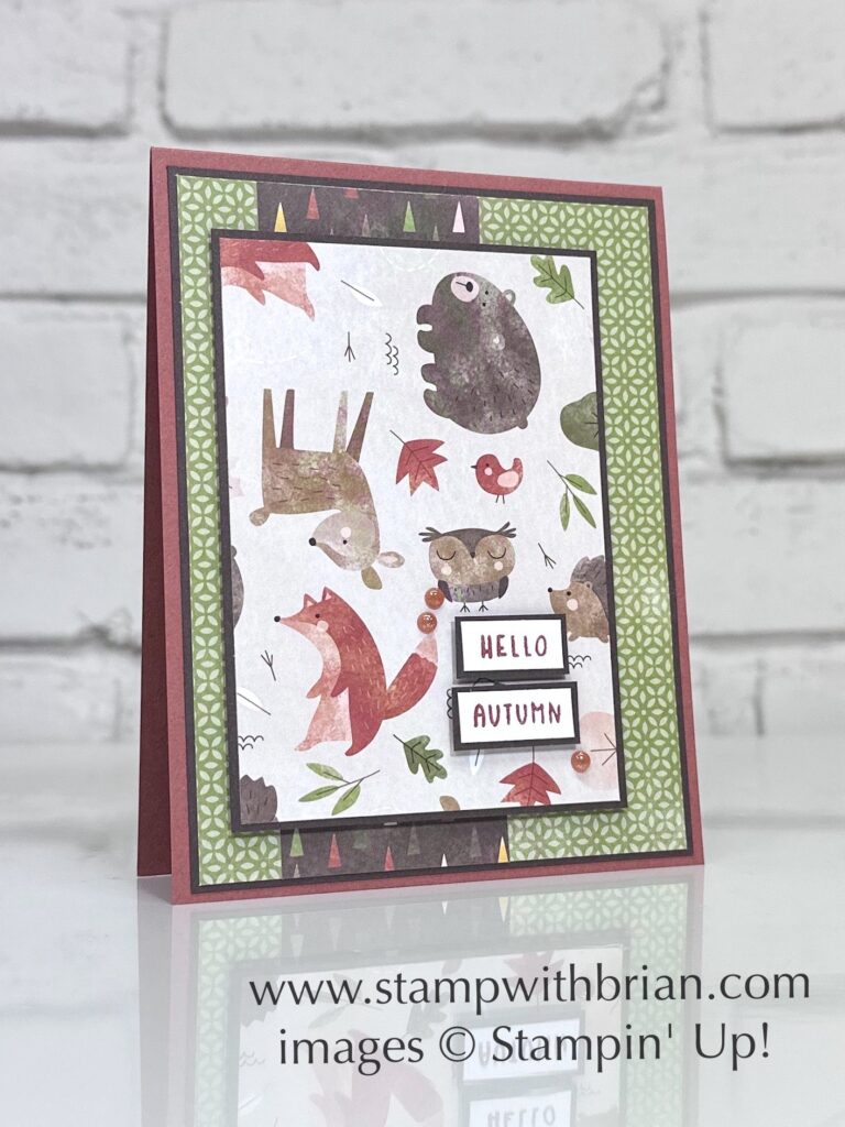 A Stampin' Pretty Pals Sunday Project Showcase Pick Sweet Days of Autumn Card - Brian King